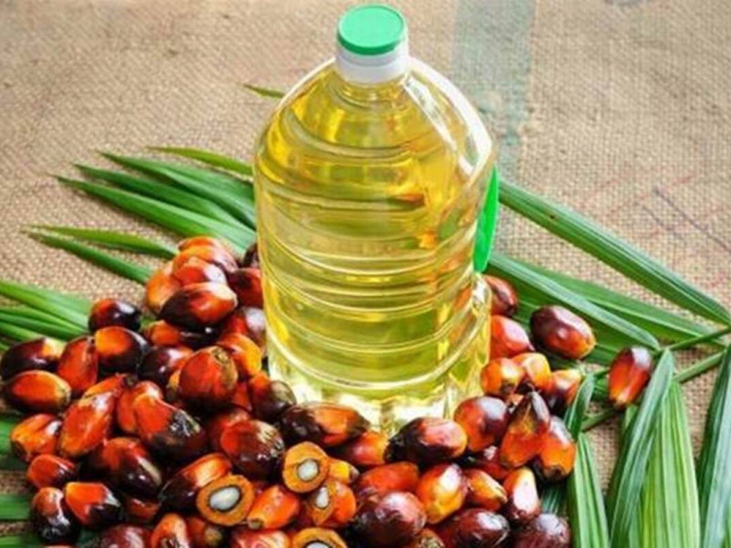रुस–युक्रेन युद्धले नेपालमा खानेतेलको मूल्य बढ्यो
